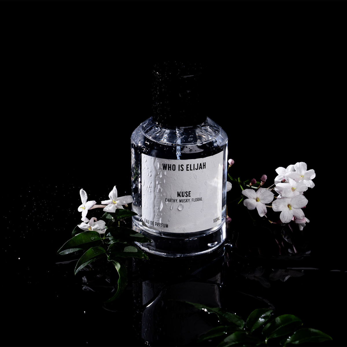 MUSE - 100ML