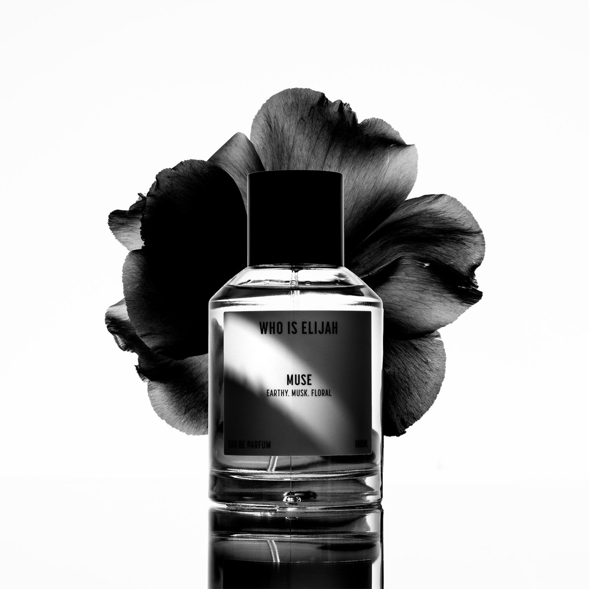 MUSE - 100ML