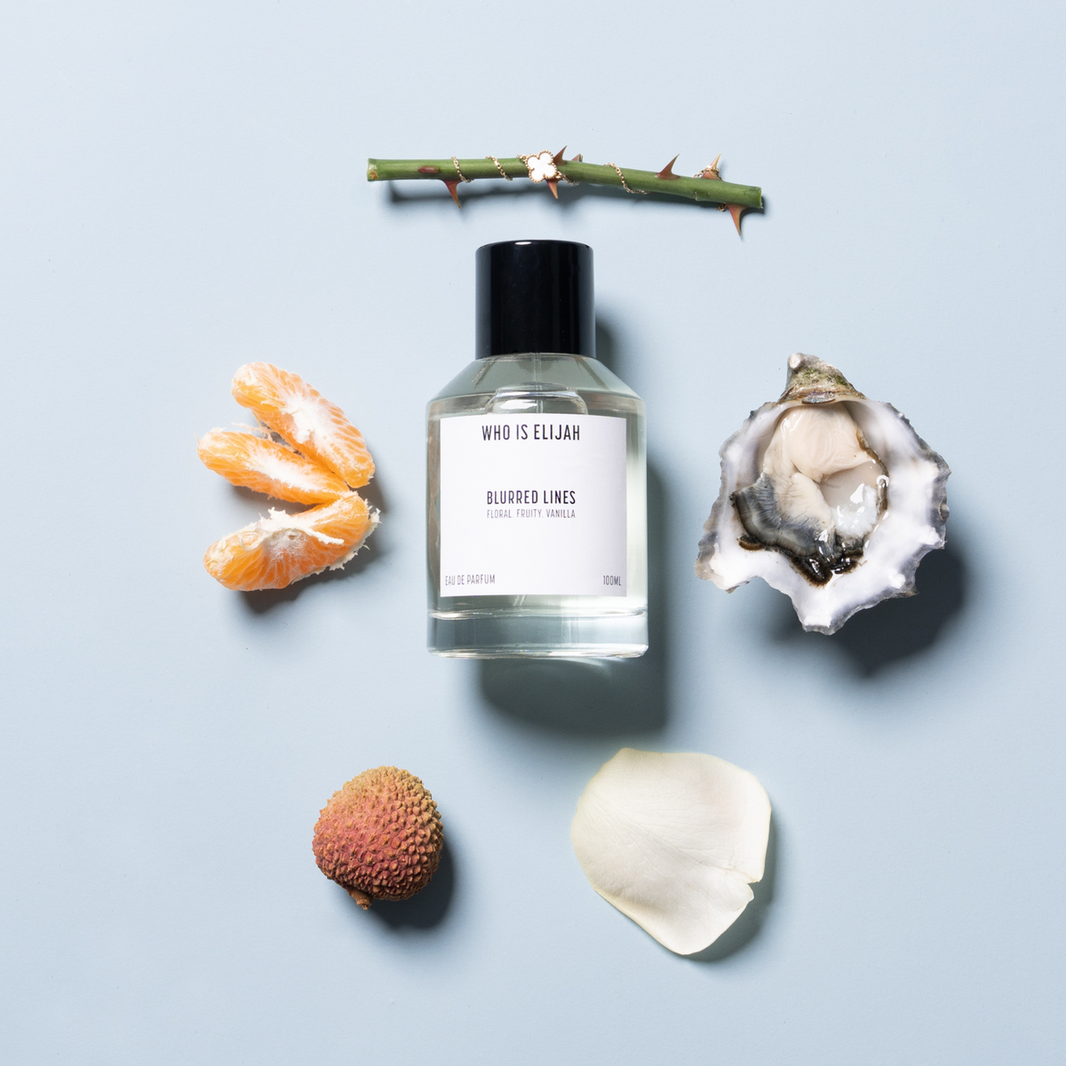 BLURRED LINES - 100ML