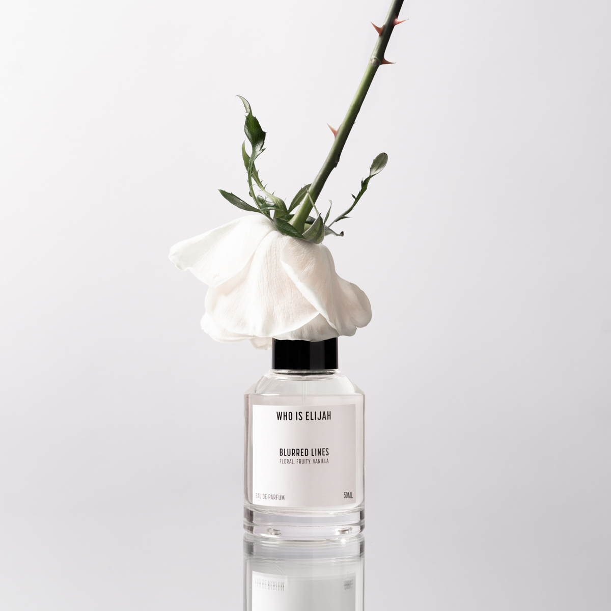 BLURRED LINES - 50ML